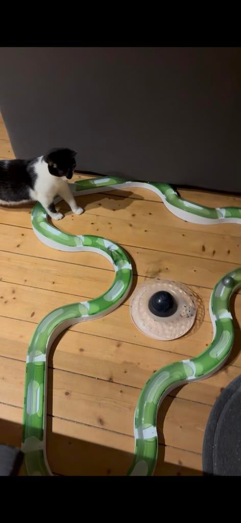 Kattenspeelgoed van catit, Ophalen, Zo goed als nieuw, Intelligentiespeelgoed