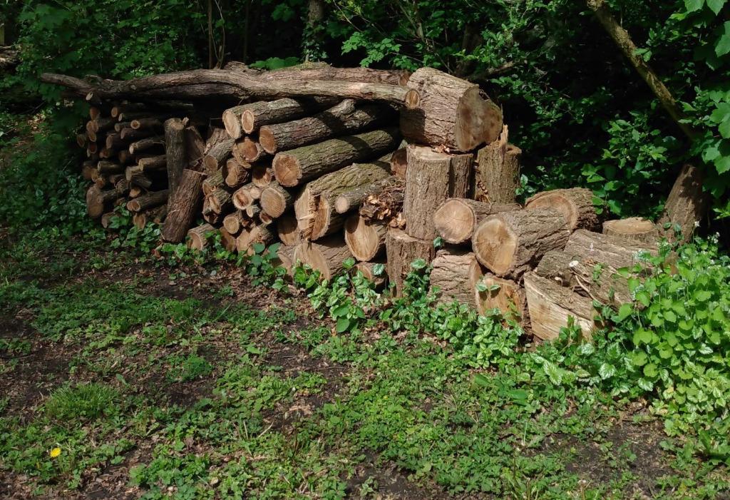 Robinia hardhout boomstronken en takken, Ophalen