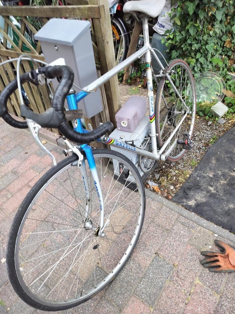 gazelle, Ophalen