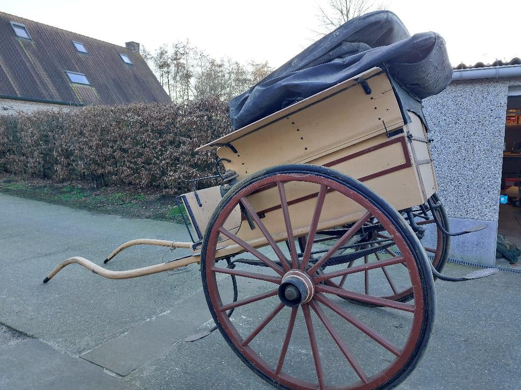 Oude 1 span  paardenkoets, Gebruikt, Overige typen, Paard