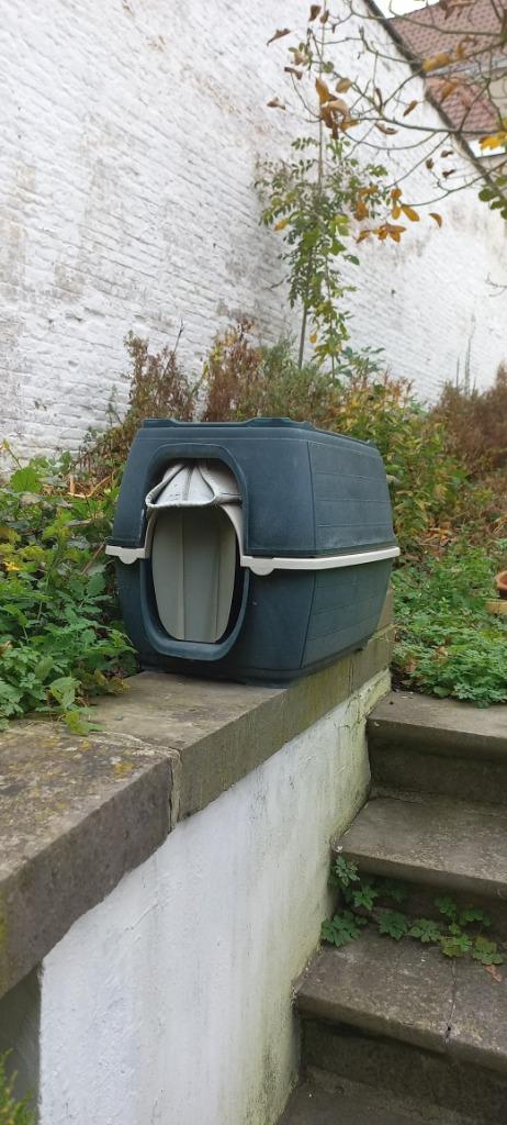 abri extérieur pour chat, Enlèvement