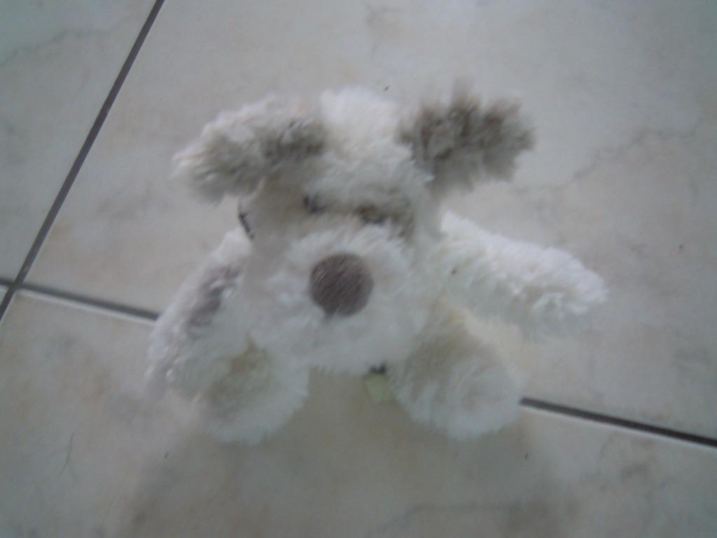 knuffel hondje victor en co (doos jan2024 2), Kinderen en Baby's, Speelgoed | Knuffels en Pluche, Ophalen of Verzenden, Nieuw
