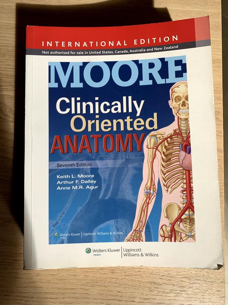 MOORE Clinically Oriented Anatomy - 7th edition - nieuw, Boeken, Ophalen, Hoger Onderwijs, Zo goed als nieuw, Alpha