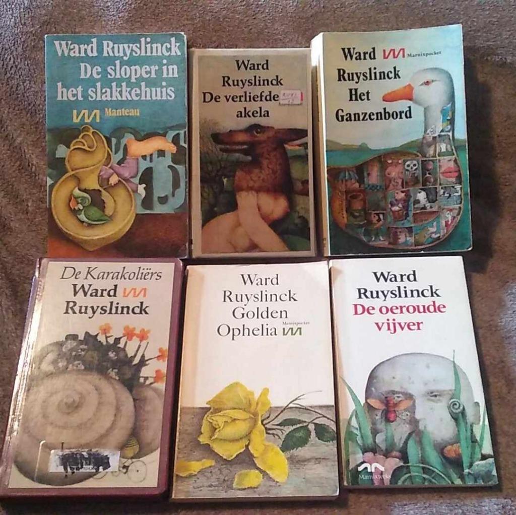 boeken van Ward Ruyslinck, Ophalen of Verzenden, Ward ruyslinck