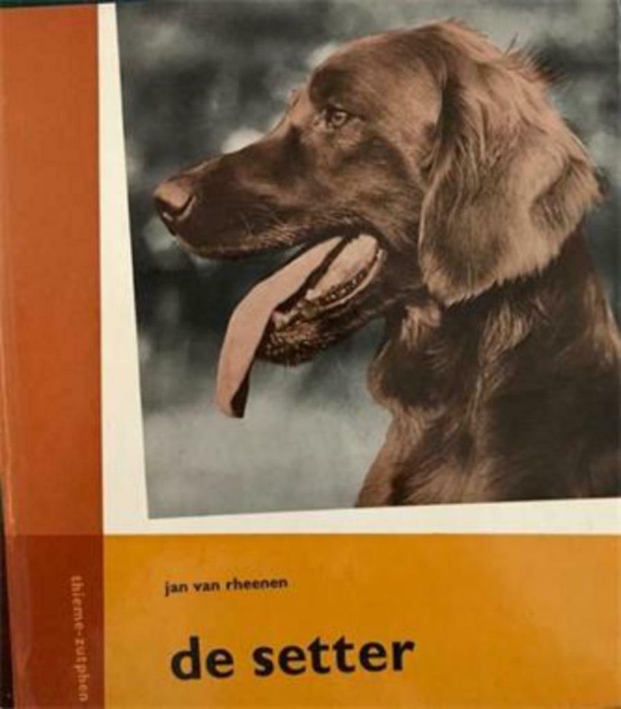 De Setter, Jan Van Rheenen, Enlèvement ou Envoi, Utilisé, Chiens