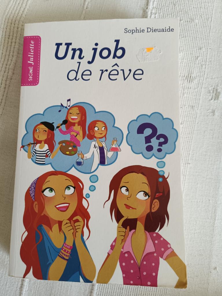 Livre "Un job de rêve", Enlèvement ou Envoi, Comme neuf, Sophie Dieuaide, Non-fiction