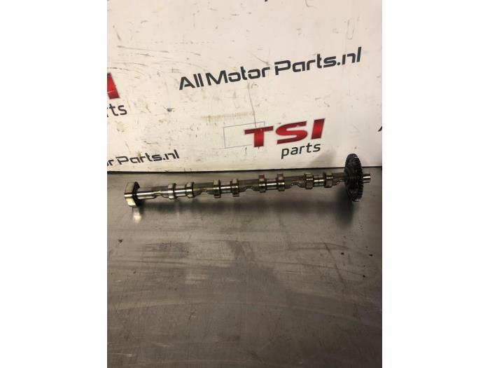 Arbre à cames d'un Volkswagen Passat, Volkswagen, -, 3 mois de garantie, Utilisé