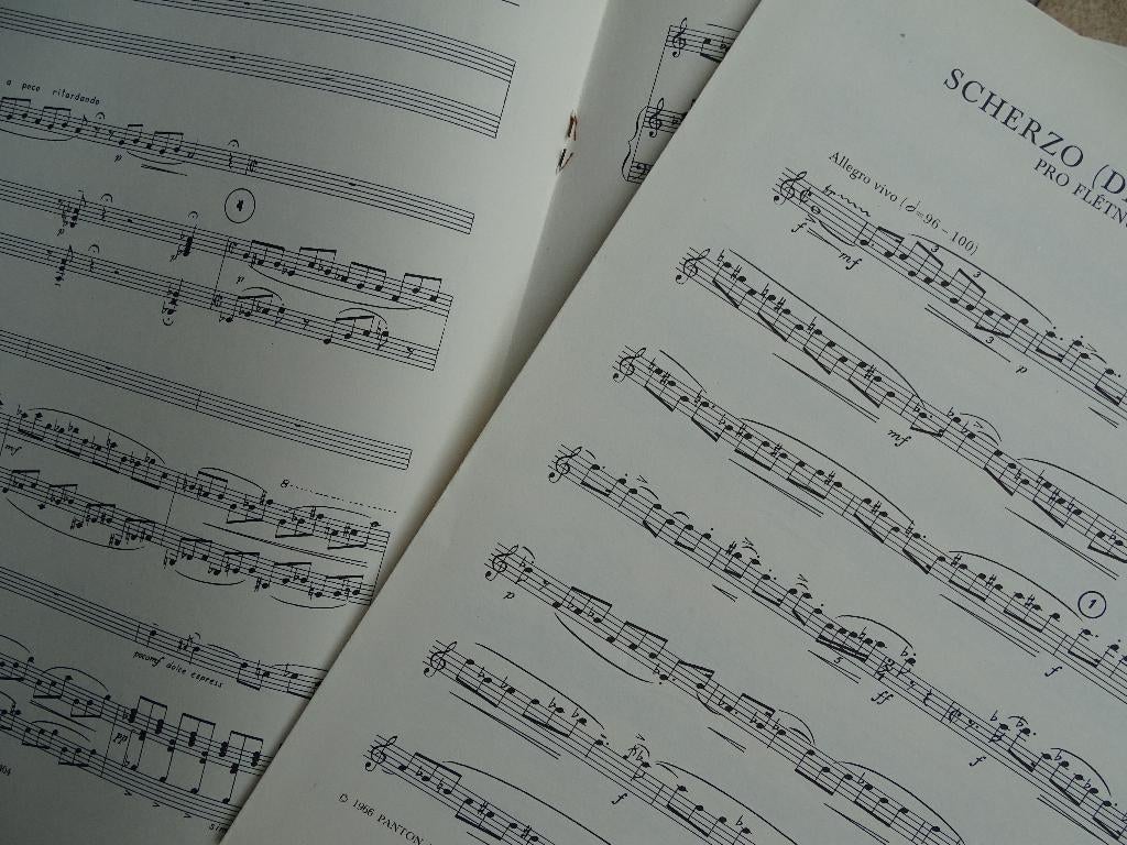 Bladmuziek fluit. blokfluit, hobo, viool en piano 8 boeken, Klassiek, Overige soorten, Ophalen of Verzenden, Zo goed als nieuw