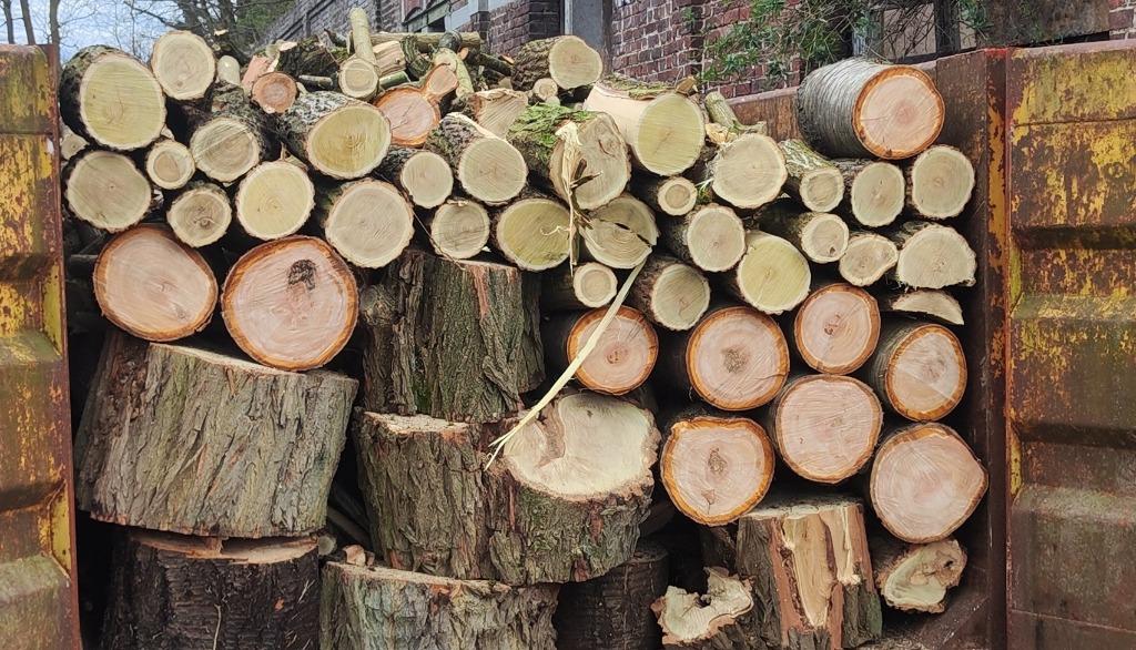 bois de chauffage à vendre, Huis en Inrichting, Overige Huis en Inrichting, Verzenden