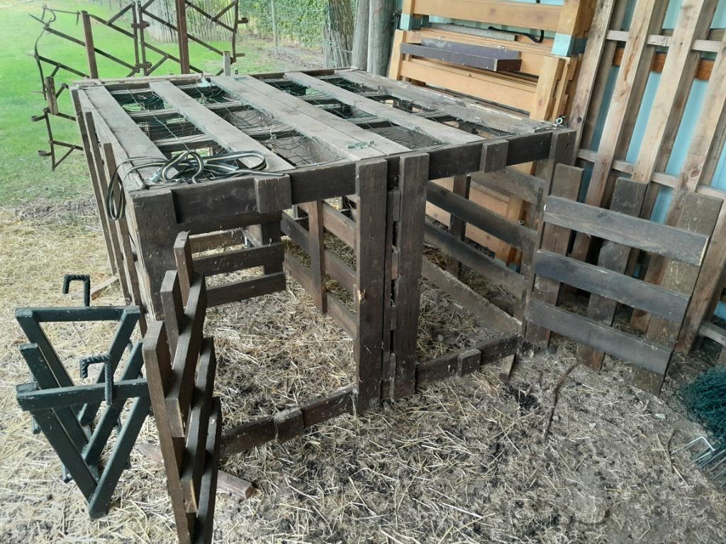Box pour moutons ou chèvres, Plusieurs animaux, Mouton, 0 à 2 ans