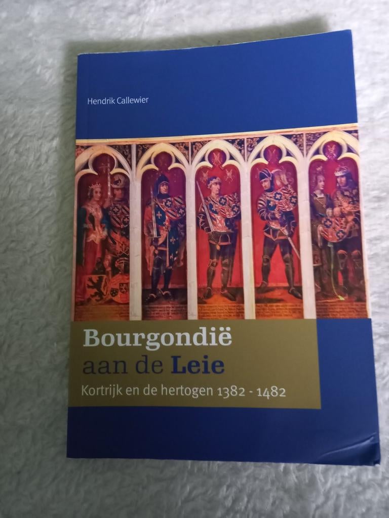 Studieboeken onderwijskunde, economie, geschiedenis, Boeken, Studieboeken en Cursussen, Zo goed als nieuw, Ophalen