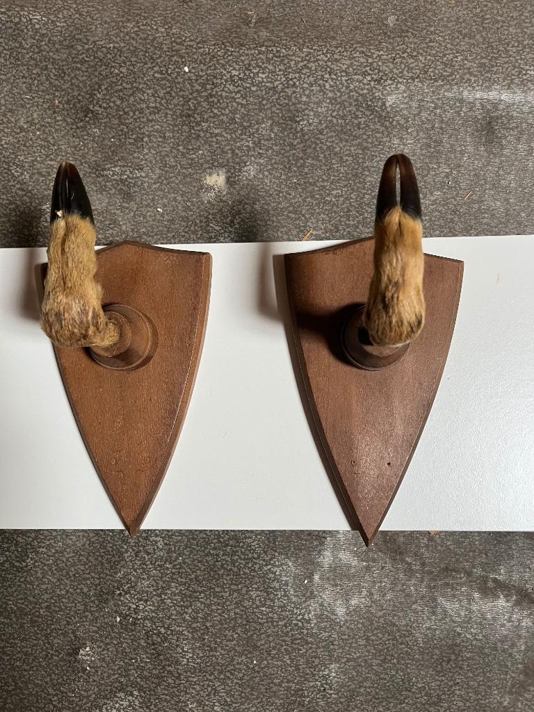 PORTE-FUSIL PATTES DE CHEVREUIL, Enlèvement