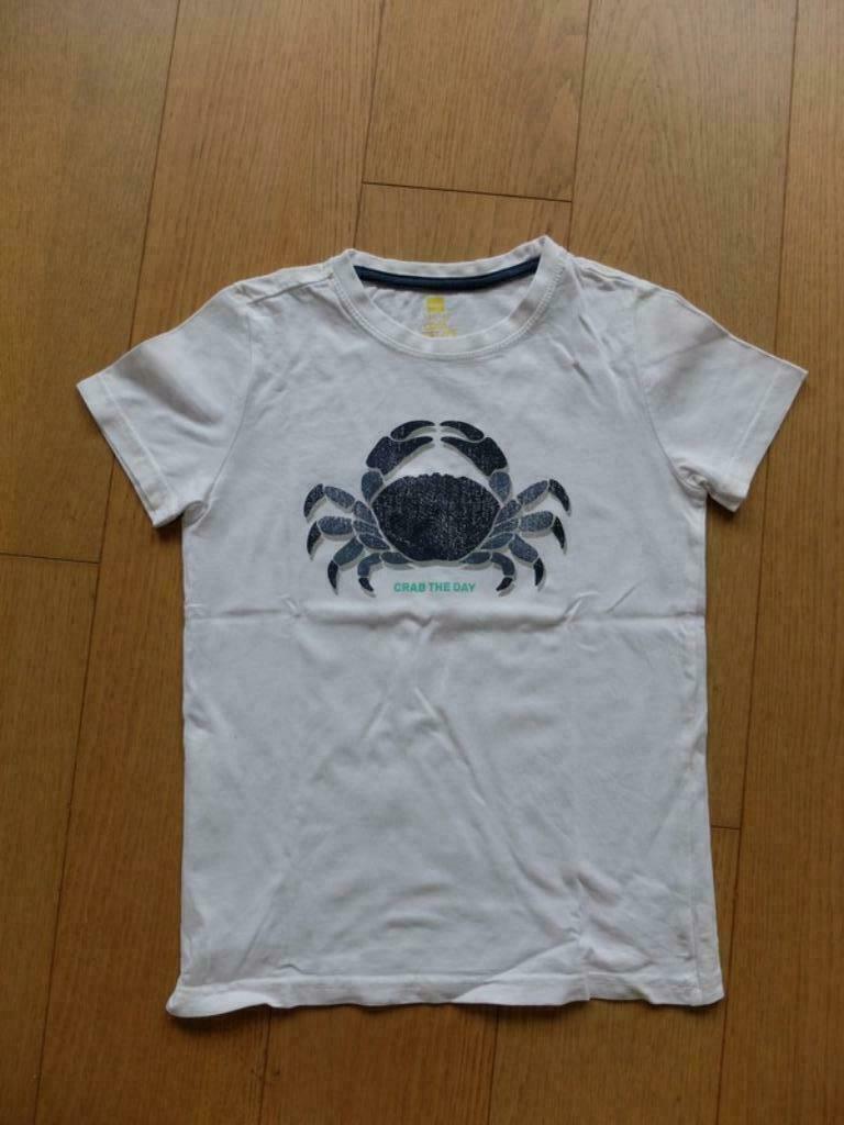 Wit t-shirt Maat 134/140 (jongen), Kinderen en Baby's, Kinderkleding | Maat 134, Ophalen of Verzenden, Zo goed als nieuw, Shirt of Longsleeve