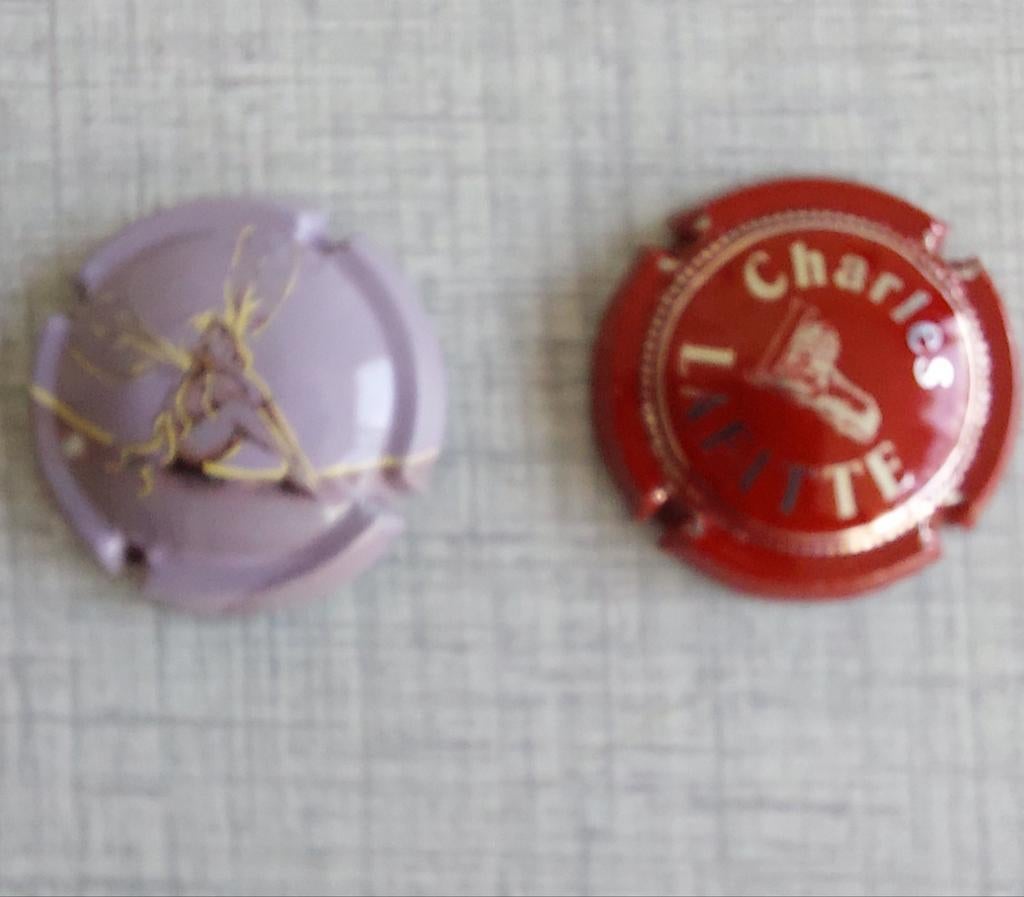 Champagnecapsules à €0.75 stuk, Ophalen, Nieuw