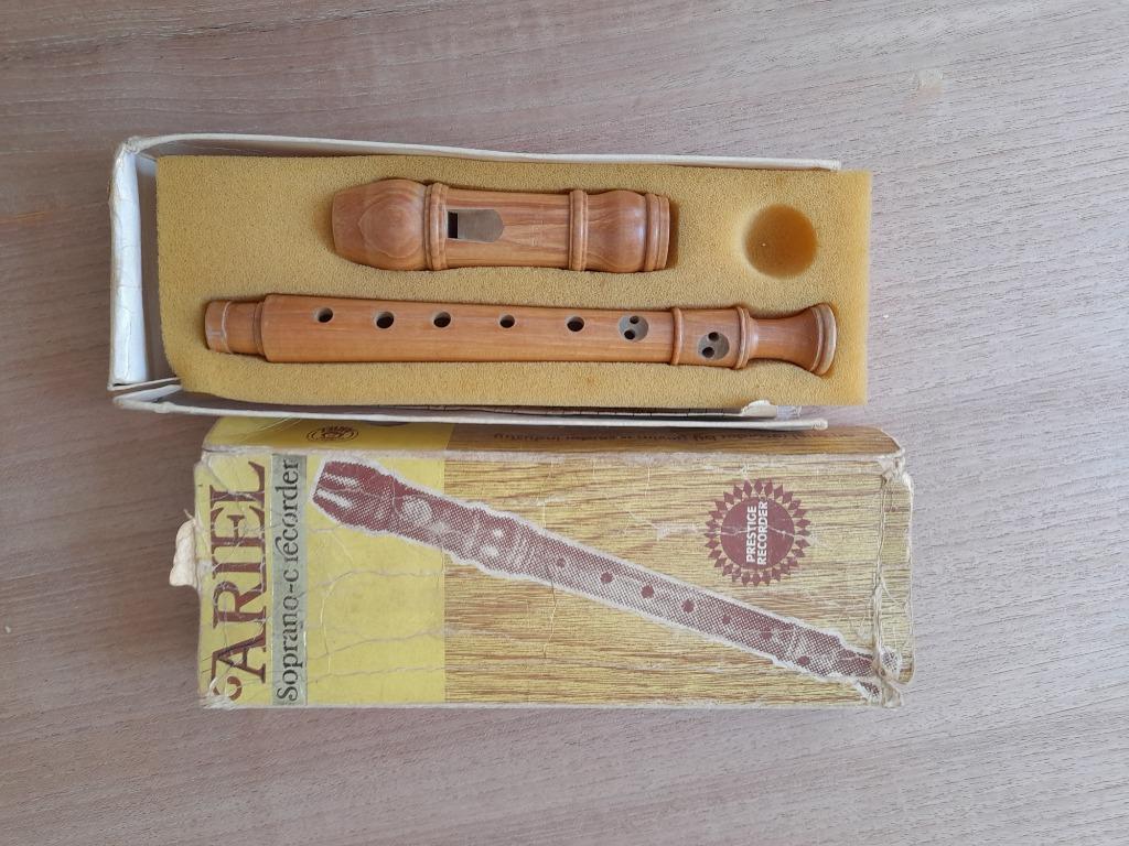blokfluit, Muziek en Instrumenten, Blaasinstrumenten | Blokfluiten, Ophalen