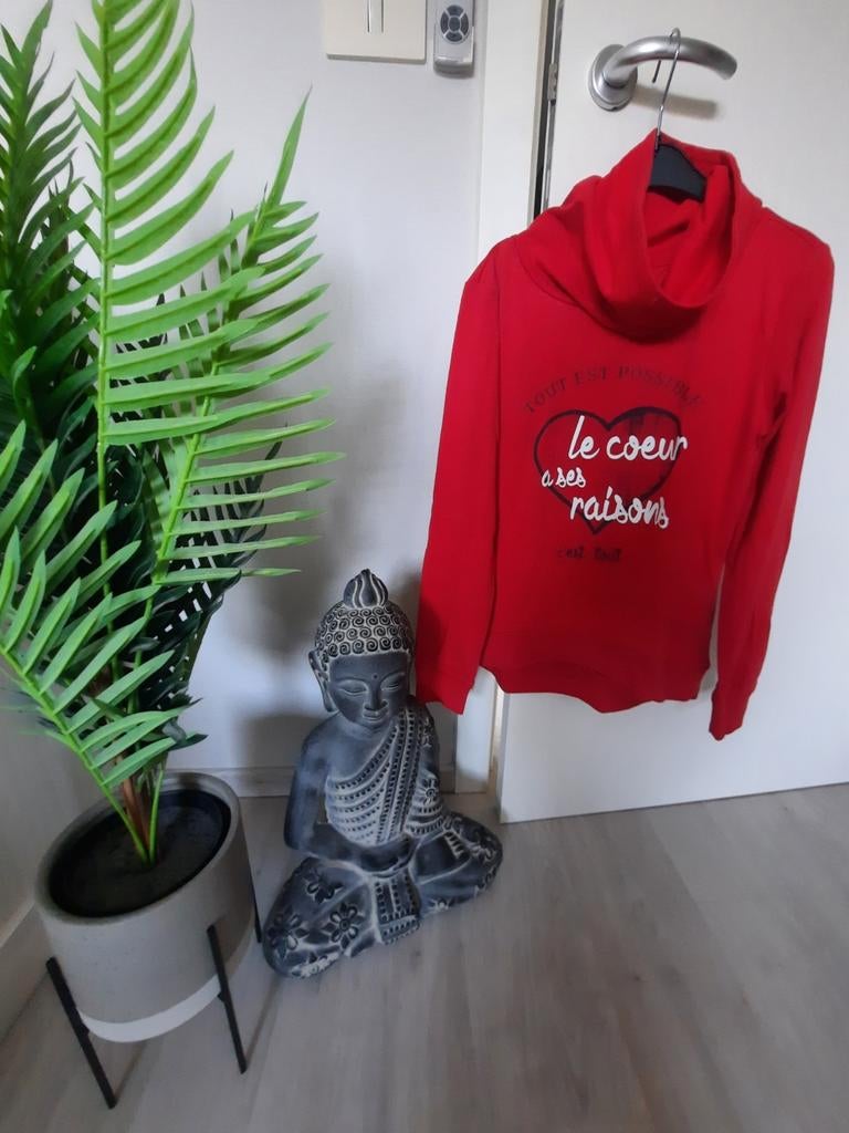 Pull à col roulé taille S, Vêtements | Femmes, Pulls & Gilets, Enlèvement ou Envoi, Comme neuf