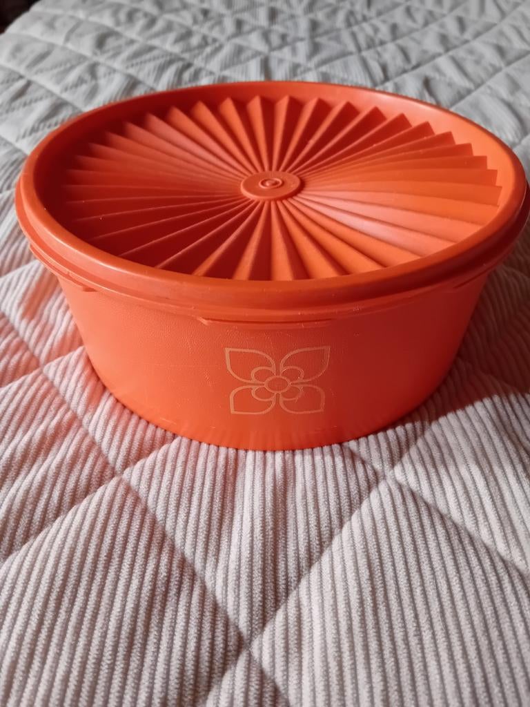 Tupperware bewaardoos, Enlèvement, Utilisé