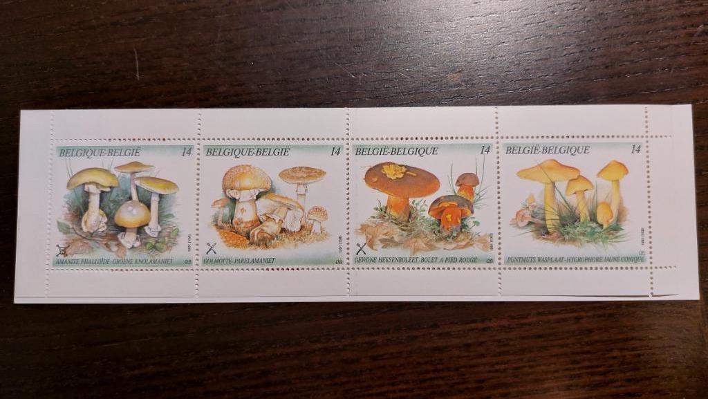 België: Paddestoelen - B21, Postzegels en Munten, Postzegels | Europa | België, Orginele gom, Ophalen of Verzenden, Zonder stempel