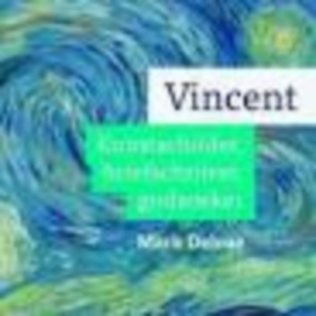Vincent kunstschilder briefschrijver godzoeker Mark Delrue, Boeken, Ophalen of Verzenden, Zo goed als nieuw