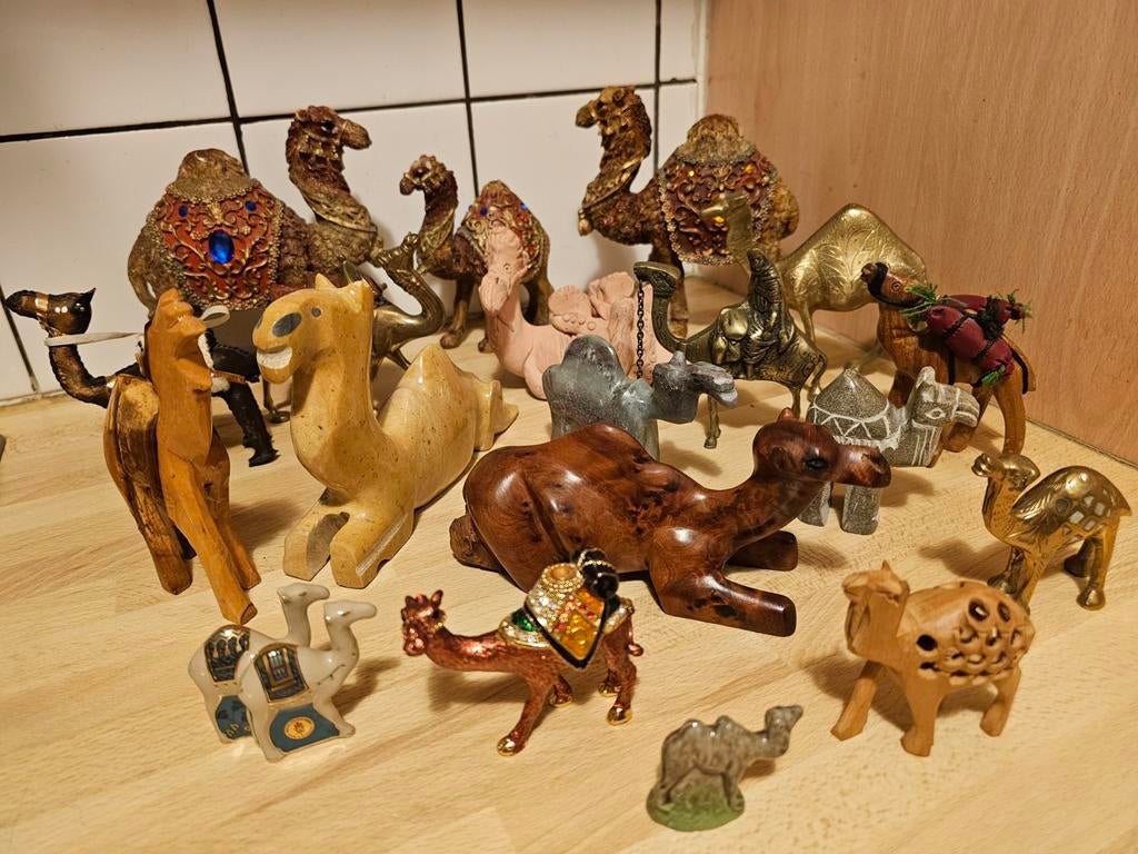 Kamelen en dromedaris verzameling, Ophalen, Gebruikt