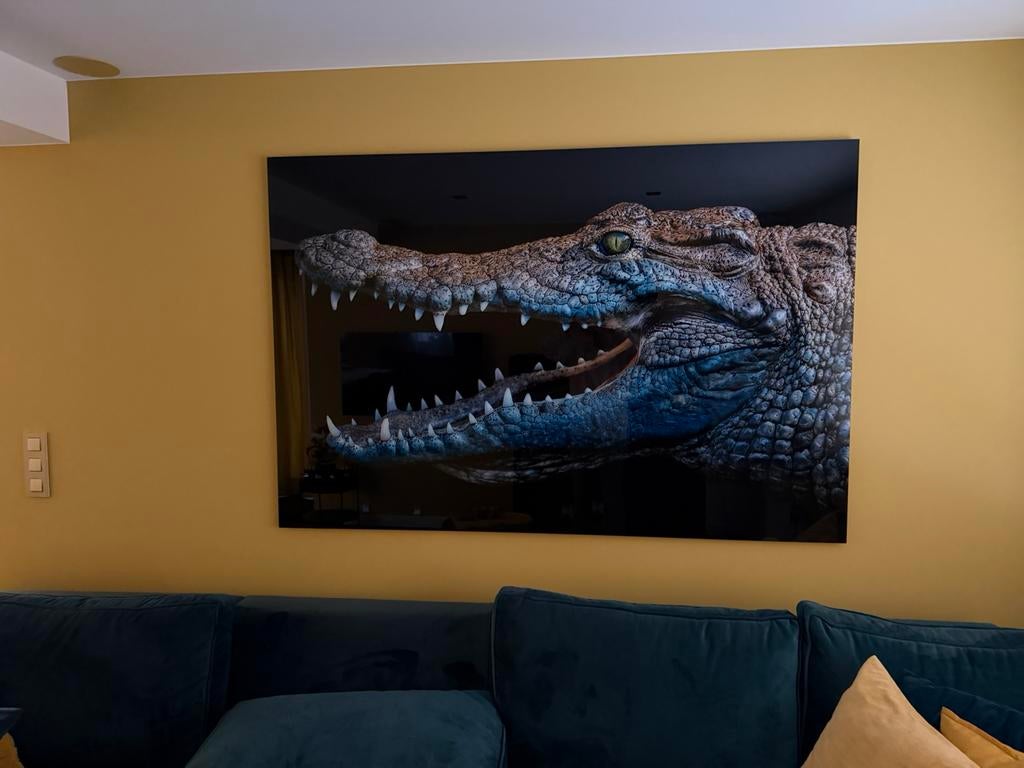 Umo Art krokodil 180x120cm, Ophalen of Verzenden