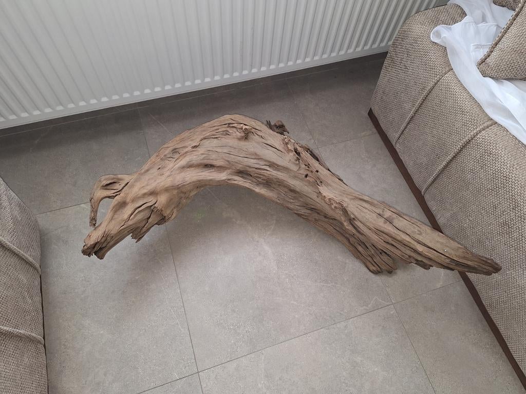 Drijfhout aqarium, Ophalen of Verzenden, Zo goed als nieuw