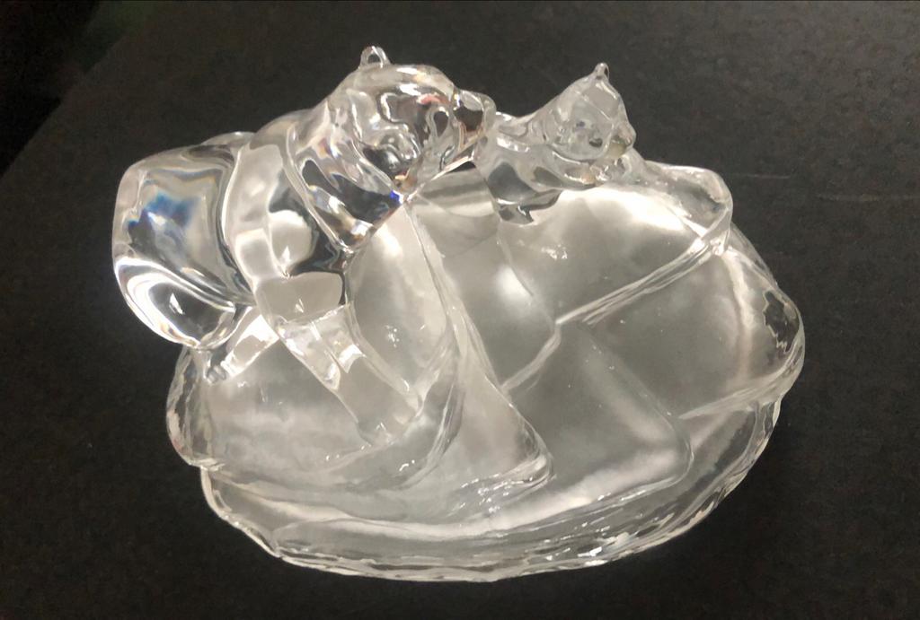 Ours sur la banquise en verre
