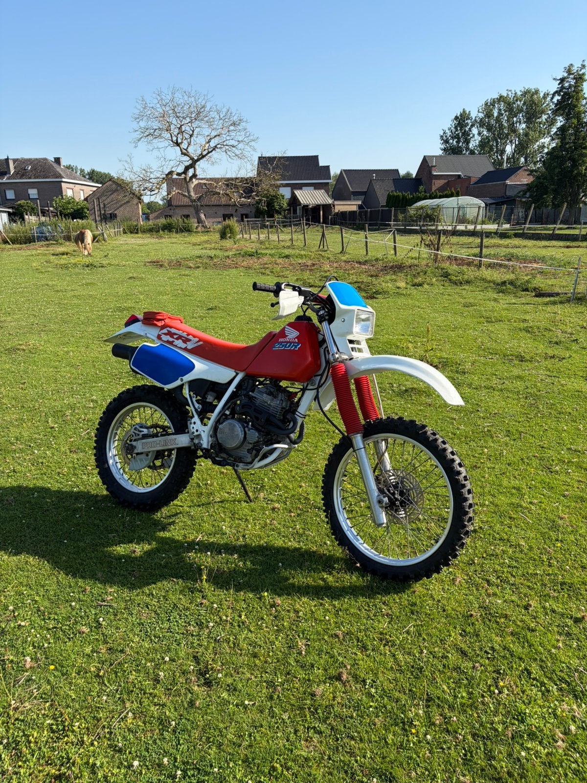 Honda XR250R 1991 – Originele topper in uitzonderlijke staat, Particulier, Enduro, 250 cm³