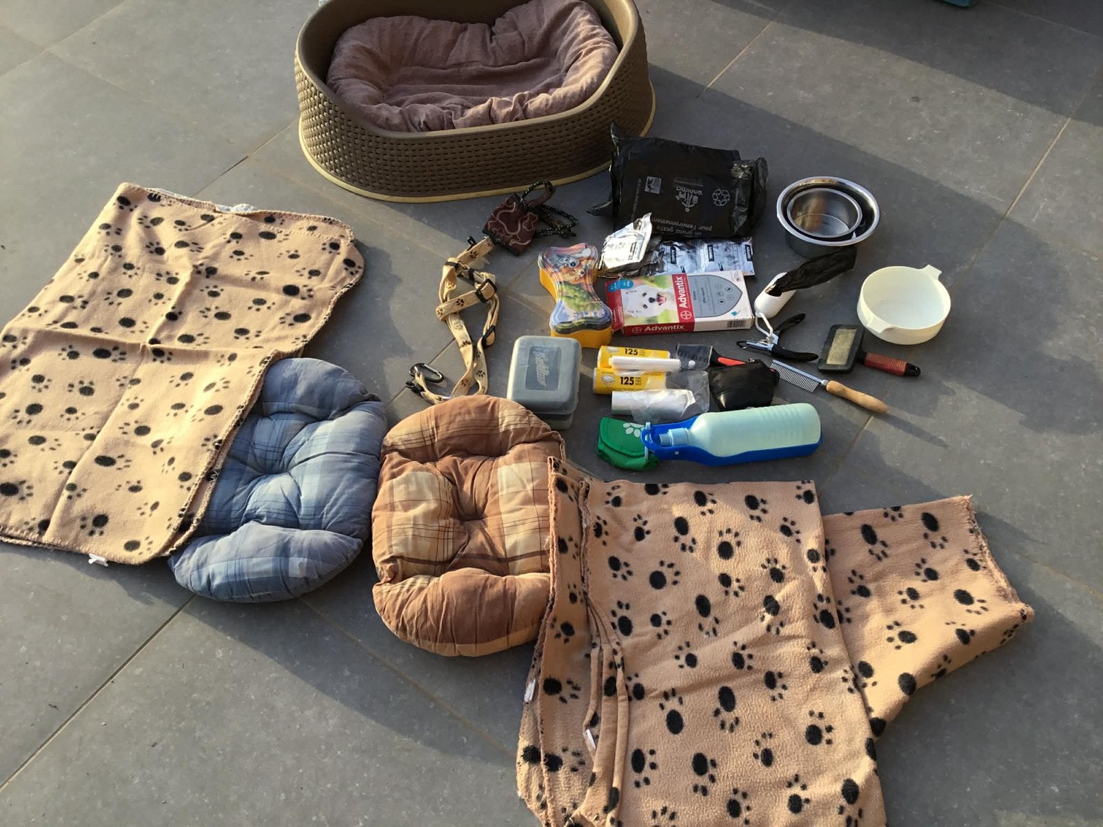 Ensemble accessoires pour chien, Animaux & Accessoires, Enlèvement, Utilisé
