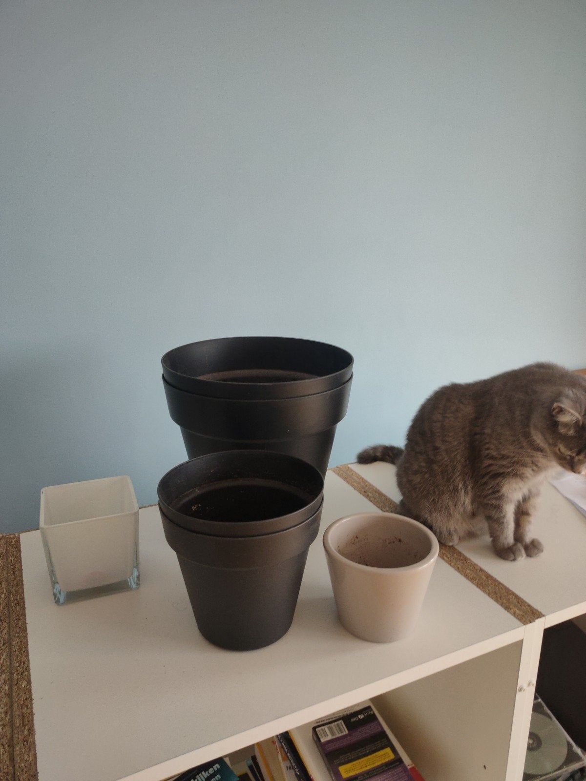 4 pots de fleurs différents, Enlèvement ou Envoi