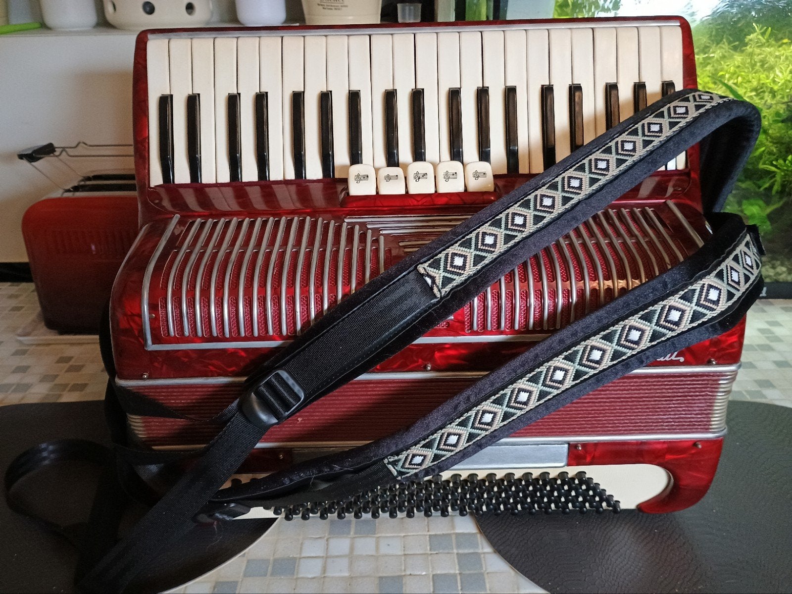 Italiaanse Brunati 120 bass, Muziek en Instrumenten, Accordeons, Ophalen