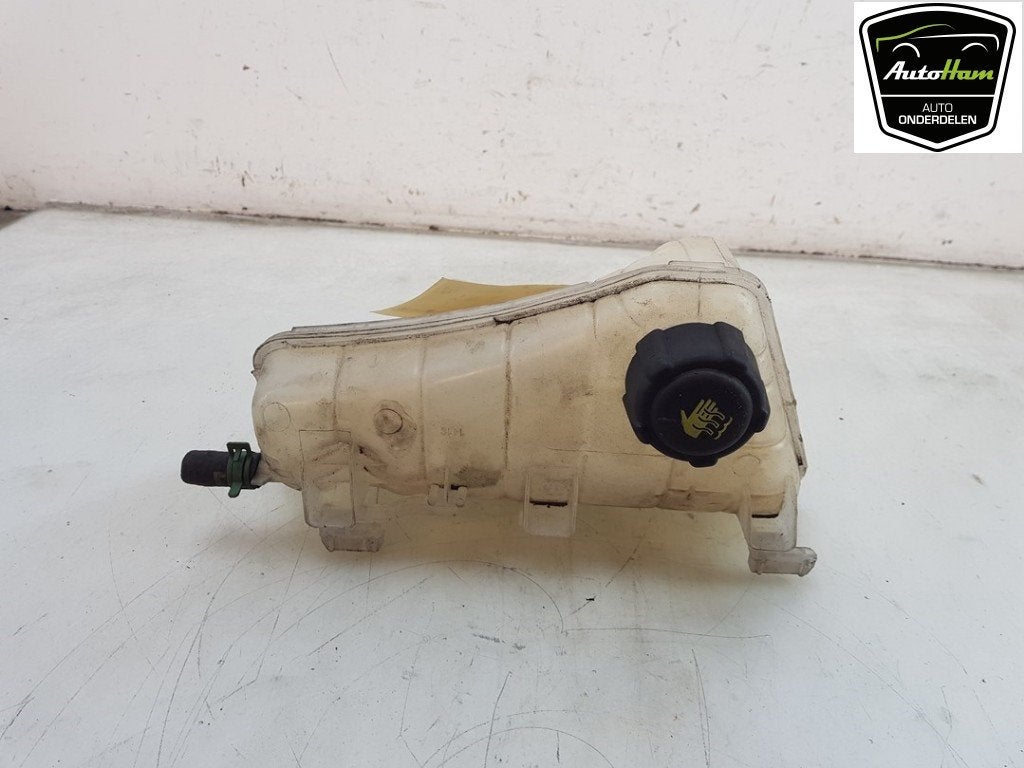 EXPANSIERESERVOIR Renault Kangoo Express (FW) (01-2008/-), Gebruikt, Renault