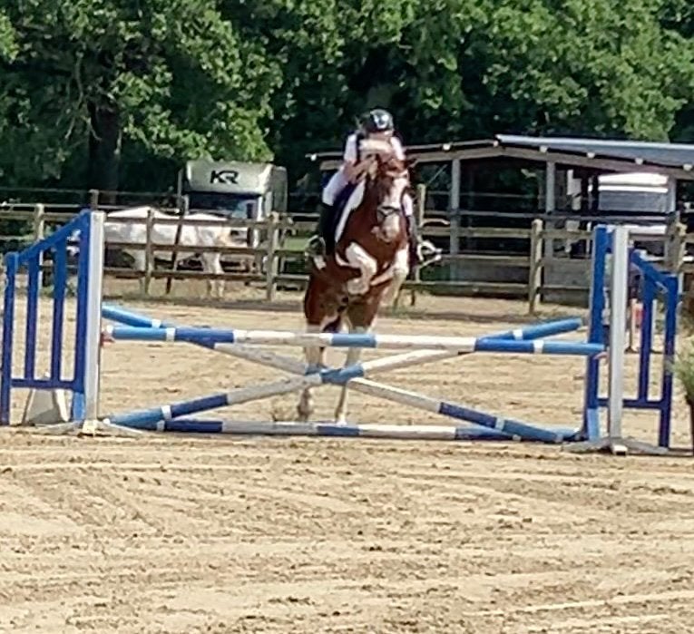 Mooie bonte pony, Dieren en Toebehoren, Merrie, D pony (1.37m tot 1.48m), 3 tot 6 jaar