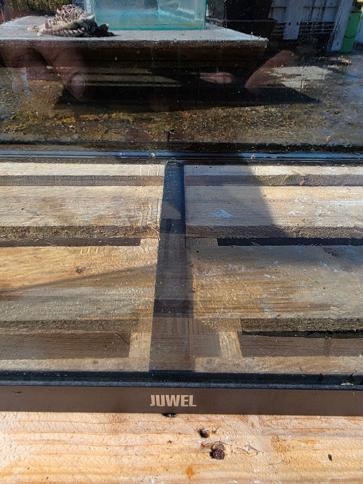 Juwel aquarium, Enlèvement, Juwel