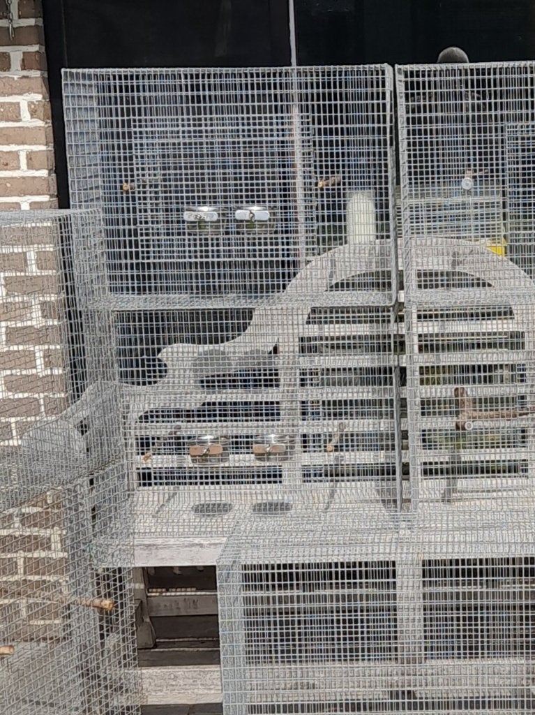 Praktische draad kooien, Dieren en Toebehoren