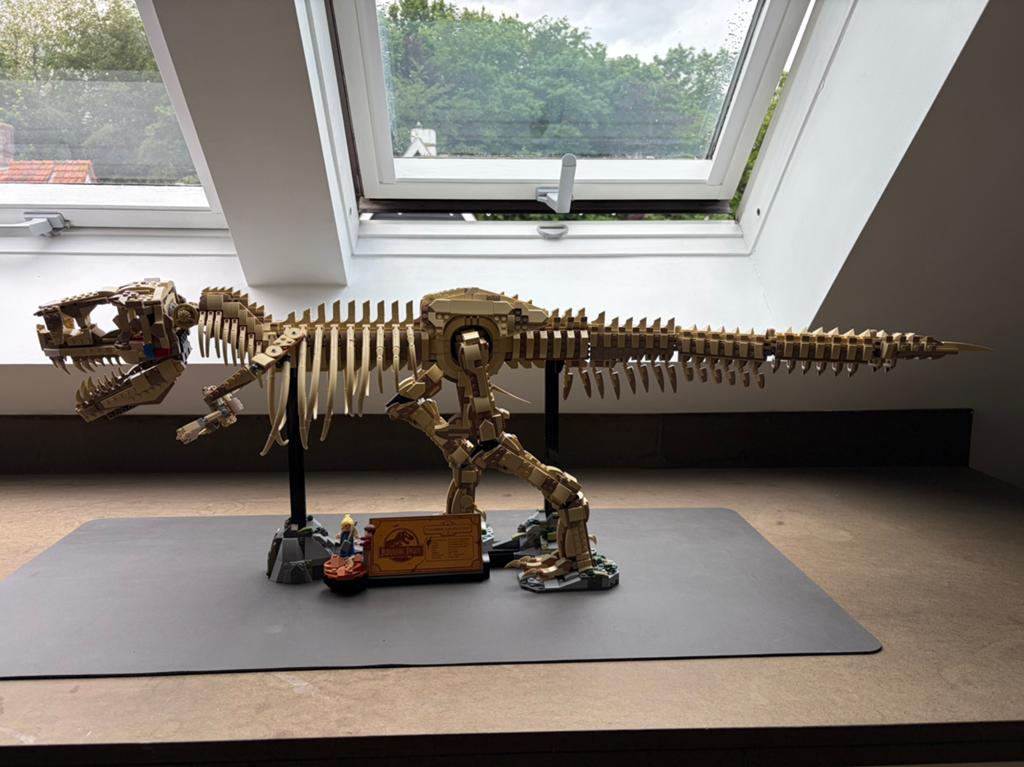 T-Rex (geen lego), Ophalen, Zo goed als nieuw