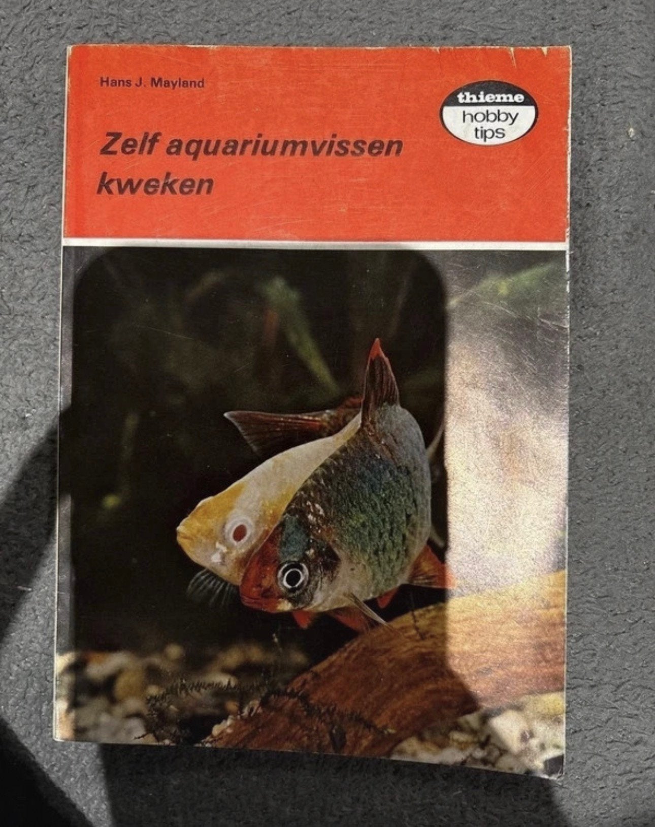 Boekje : zelf aquariumvissen kweken, Boeken, Ophalen of Verzenden, Zo goed als nieuw, Vissen