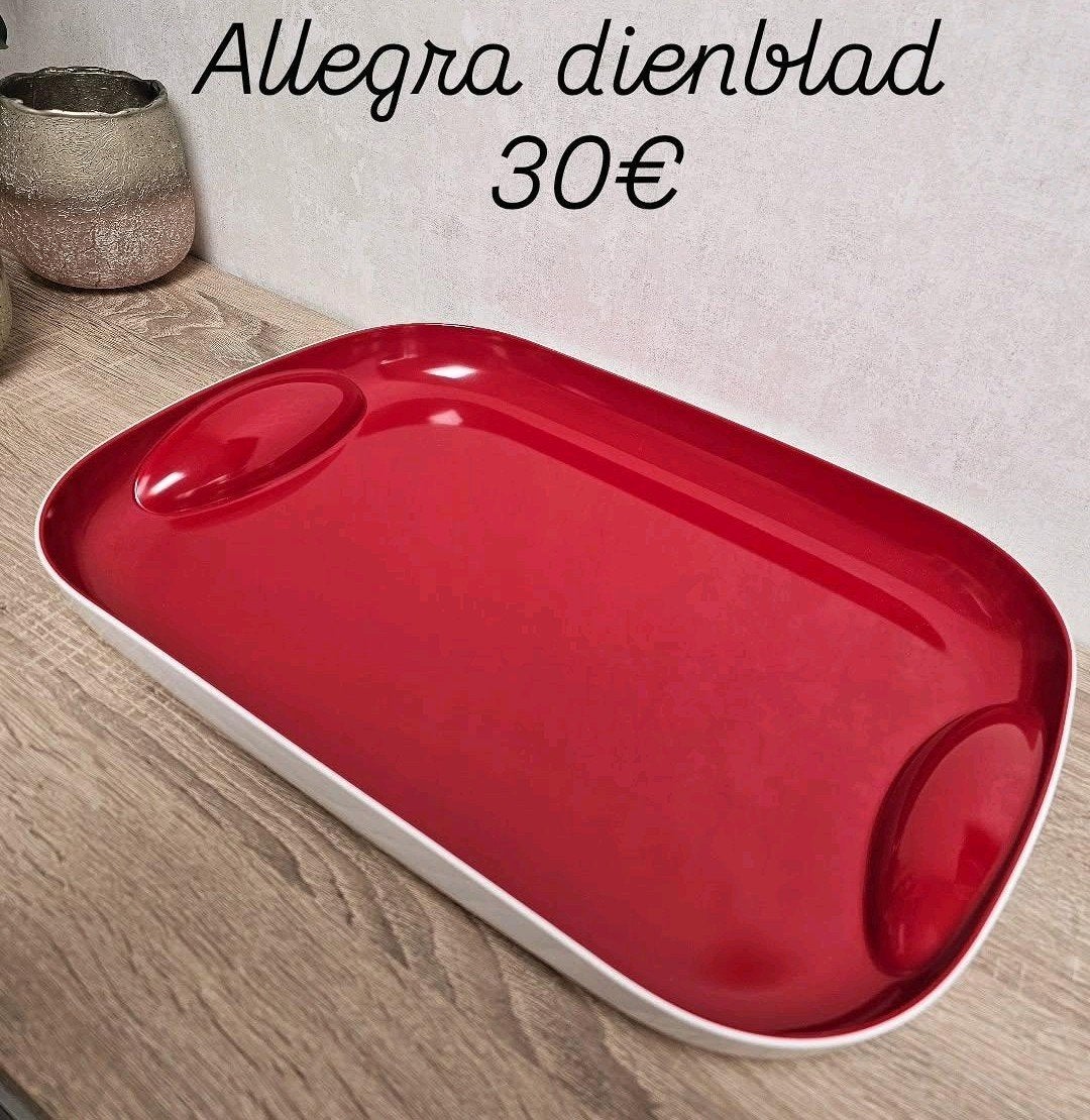 Tupperware allegra dienblad, Ophalen of Verzenden, Nieuw