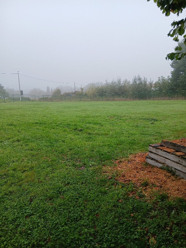 weiland landbouwgrond hobbygrond, Immo, Emblem, 1500 m² of meer