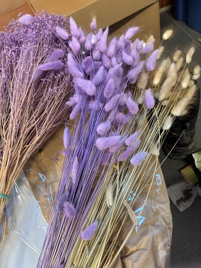 Droogbloemen, Ophalen, Nieuw