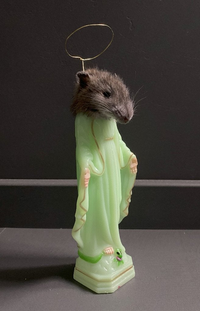 Rat Cheesus taxidermie, Ophalen of Verzenden