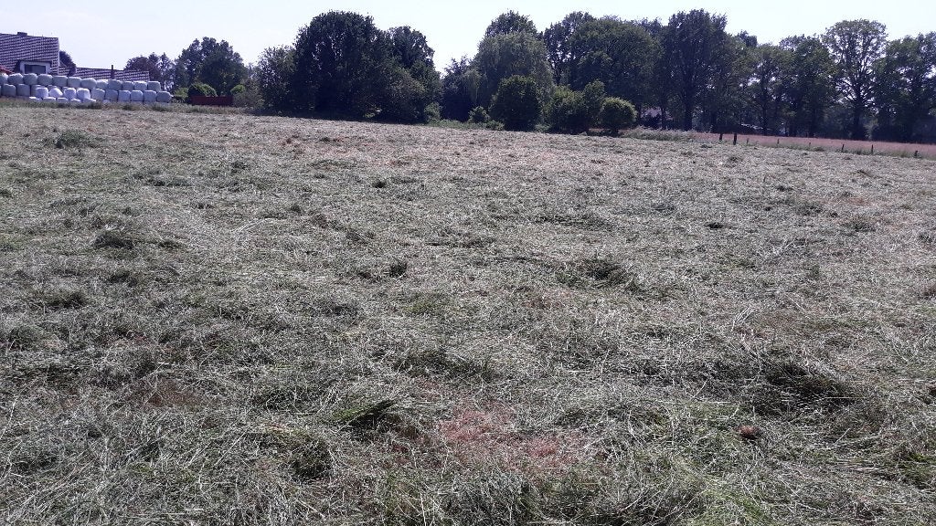 kleine pakken hooi te koop, Zakelijke goederen, Landbouw | Veevoer, Ophalen