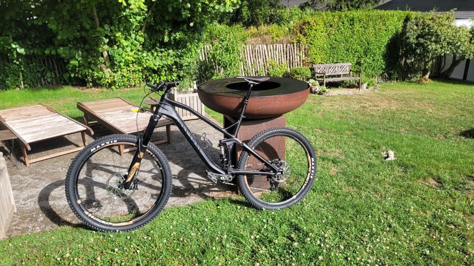 Canyon Spectral AL 8.0EX 2016, Enlèvement, Comme neuf