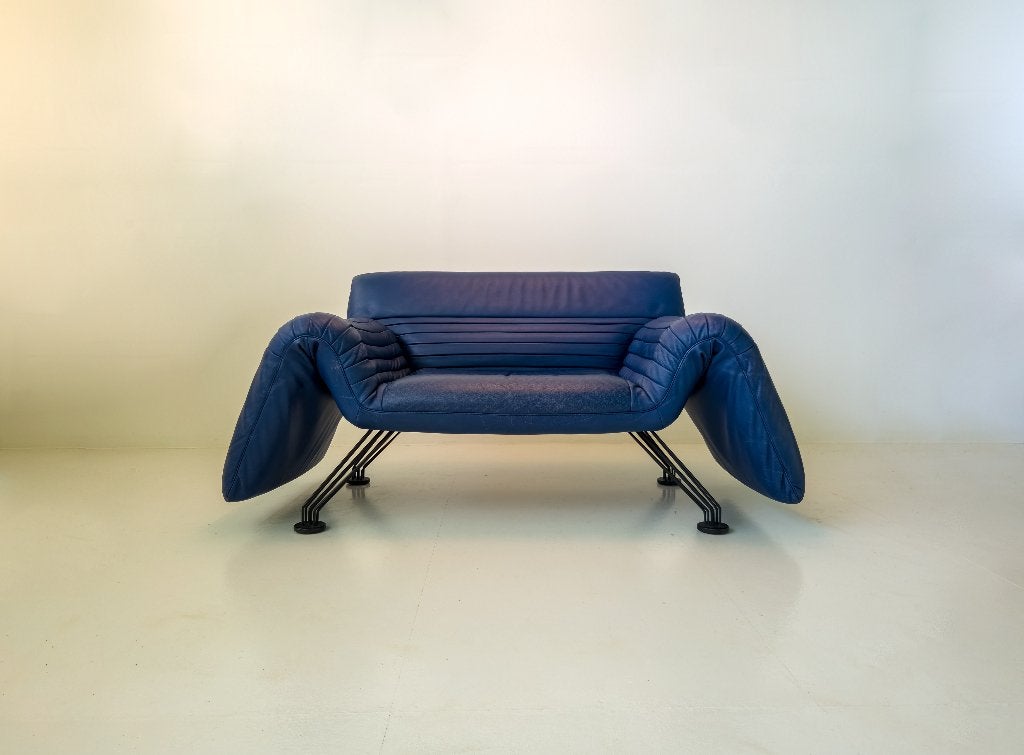 De Sede DS-142 Wing armchair – Winfried Totzek, Ophalen of Verzenden, Gebruikt, Leer