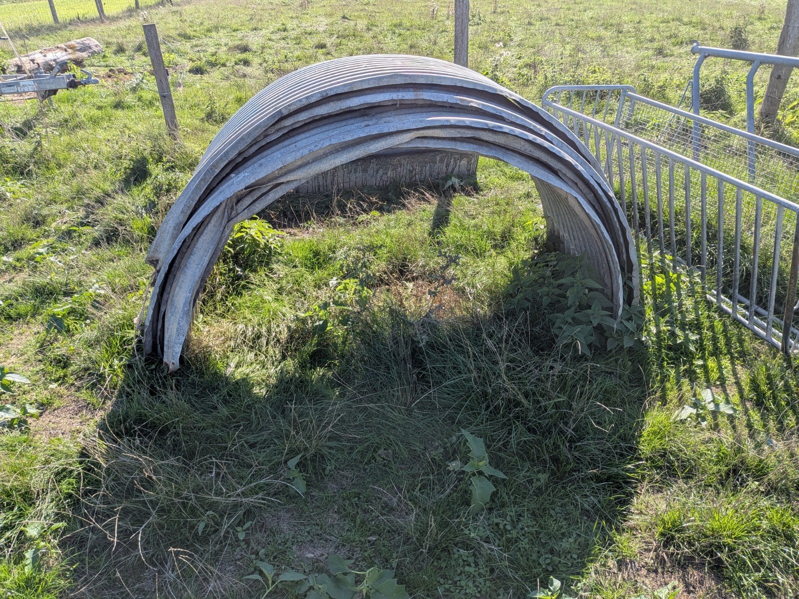 tôles galvanisé (tôles à chicons), Pâturage