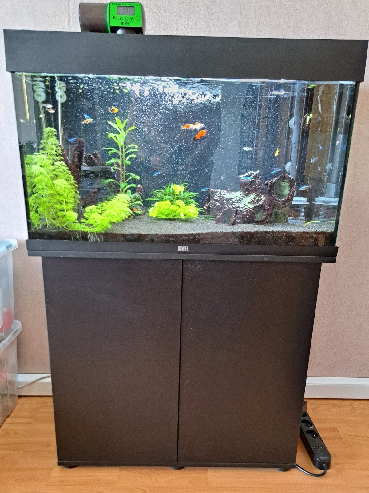 Kit d'aquarium complet JUWEL Rio 125 + Eheim + CO₂, Animaux & Accessoires, Enlèvement, Eheim
