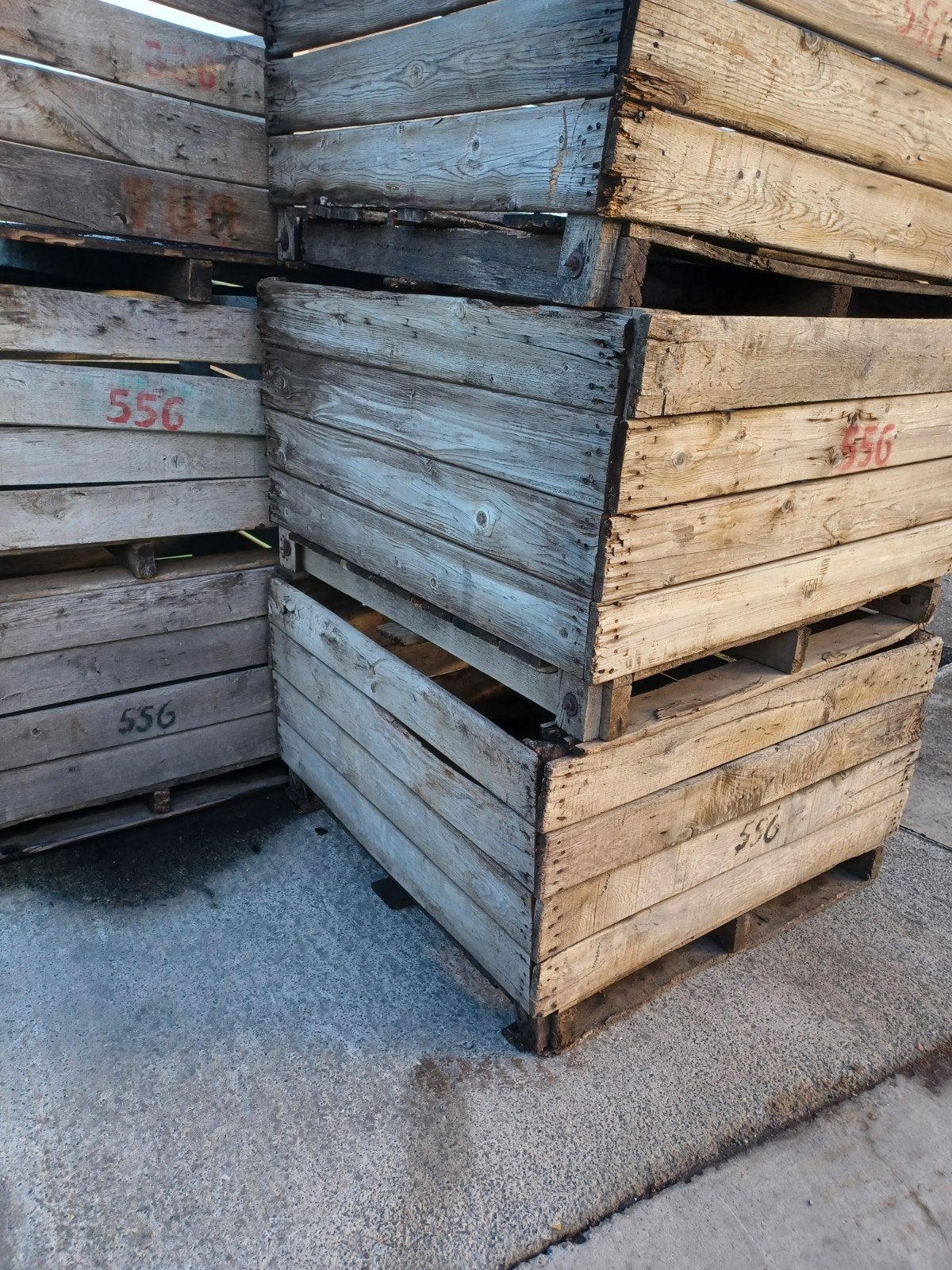 gratis paloxen, Ophalen, Gebruikt, Pallet
