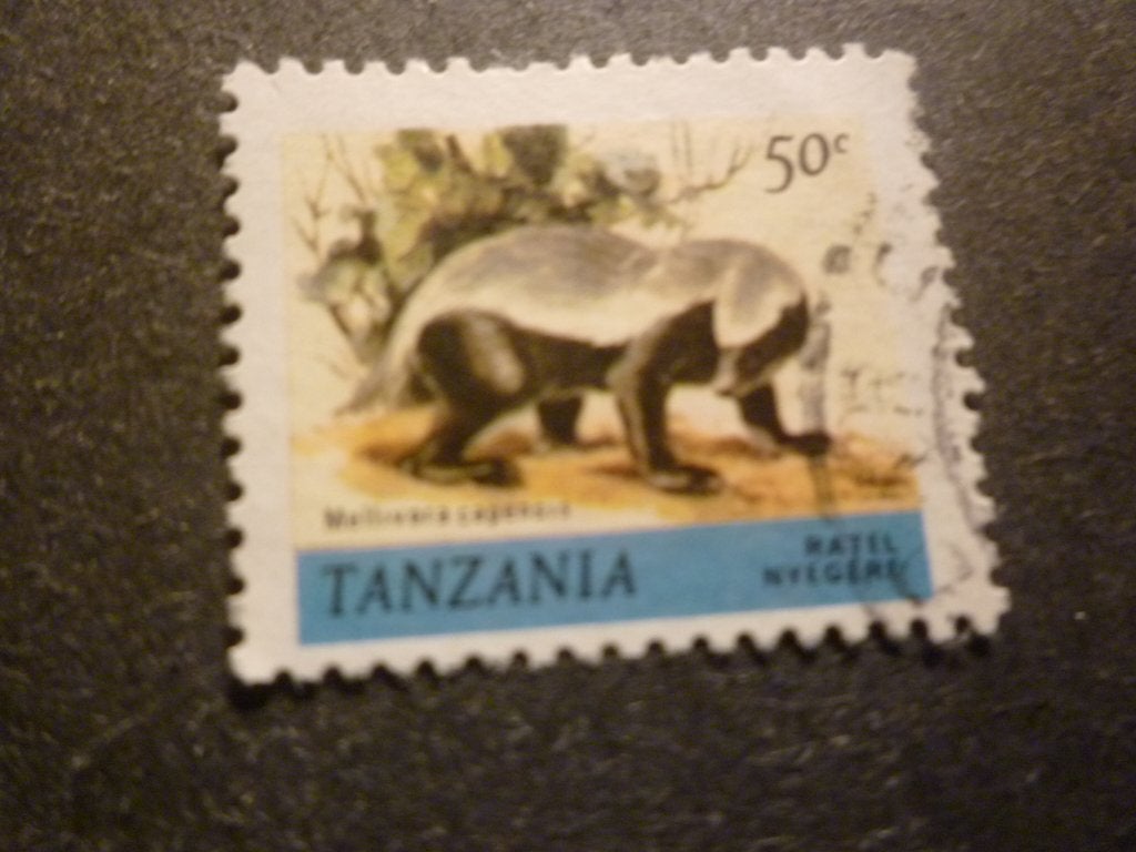 Tanzania/Tanzanie 1980 Mi 164(o) Gestempeld/Oblitéré, Postzegels en Munten, Postzegels | Afrika, Verzenden, Tanzania