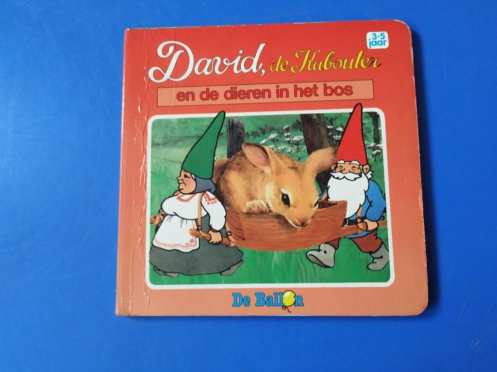 boekje " david de kabouter en de dieren in het bos", Ophalen of Verzenden