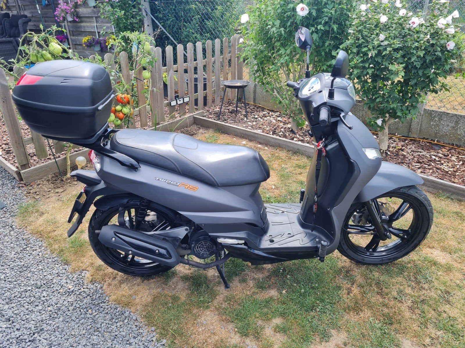 scooter peugeot tweet van 2016 en 125cc rijbewijs B, Ophalen